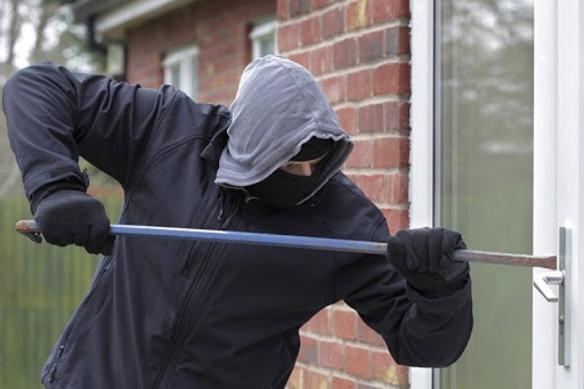 Анамның досының мысығын жалады