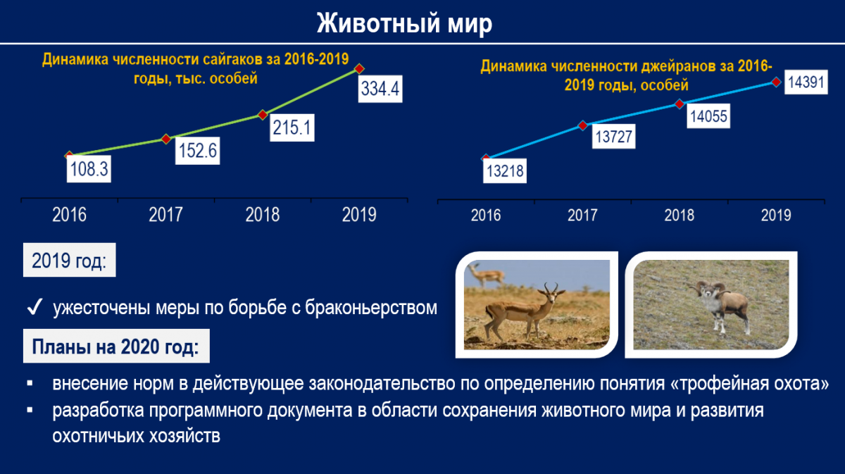 Сайгак численность. Численность сайгаков в Казахстане. Численность сайгаков в России. Сайгак динамика численности в Казахстане.