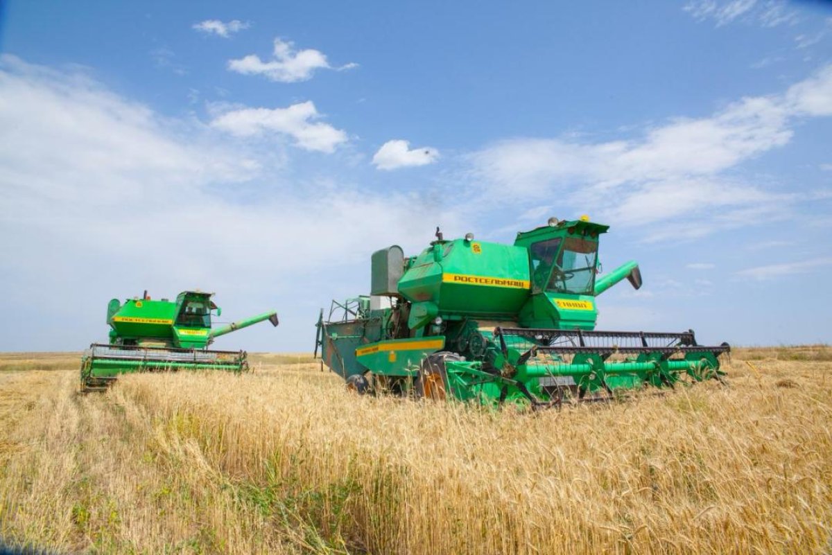 Ерлердің астындағы жалаңаш орыс қыздарының порно фотолары Корей секс видео онлайн