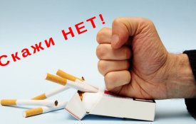 Чем вреден IQOS для здоровья человека