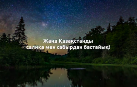 Жаңа Қазақстанды салиқа мен сабырдан бастайық!