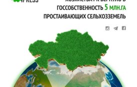 Министерство сельского хозяйства РК вернуло в госсобственность 5 млн га простаивающих сельхозземель