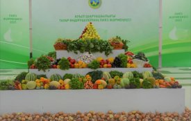 Ярмарка лука состоялась в Жамбылской области