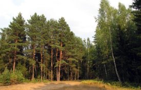 Реализация Послания Главы государства