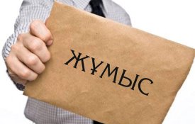 В этом году в ЗКО трудоустроено около 27 тыс. человек