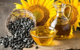 Ауыл шаруашылығы саласы – Шығыс Қазақстан облысы экономикасының күретамыры