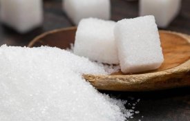 БАӘ компаниясы Қонаевта қант зауытын салуды жоспарлап отыр