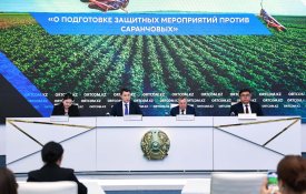 О подготовке защитных мероприятий против саранчовых