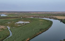 Более 1,5 млрд кубометров воды направлено по реке Шу в Созакский район Туркестанской области