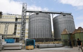 Агропромышленный кластер стоимостью 15 млрд тенге строят в Алматинской области