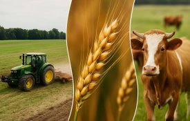 Старт национальной сельскохозяйственной переписи