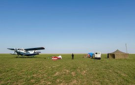 Об итогах защитных мероприятий против саранчовых