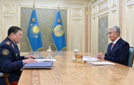 Глава государства принял министра внутренних дел Ержана Саденова