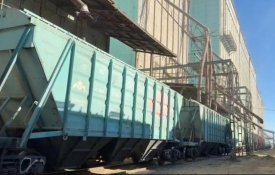 Казахстан отправил первую партию продовольственной пшеницы в Армению