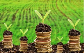 АӨК-ті жеңілдетілген несиелеу бағдарламасы тұрақты нәтижелер көрсетуде