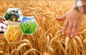 Ақтөбе облысында 296,8 млрд теңгеге ауыл шаруашылығы өнімі өндірілді