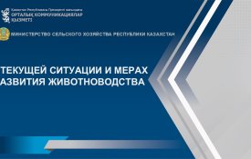 О текущей ситуации и мерах развития животноводства