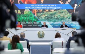 Биыл Қазақстандағы мал шаруашылығы жалпы өнімінің көлемі 3 трлн теңгеге жетті