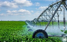 Түркістан облысында 114 мың га аумаққа су үнемдеу технологиясы енгізілді