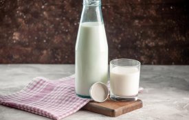 ШҚО-да 1 075 бас ірі қараға арналған сүт-тауарлы фермасы іске қосылды