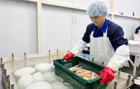 Почти 60 тыс. тонн готовой рыбной продукции произведено за 11 месяцев 2025 года