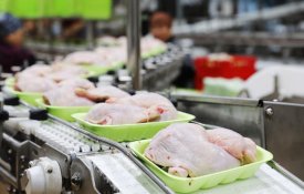 Қазақстанда 2025 жылы жалпы ет өндірісі 1,2 млн тоннаны құрады