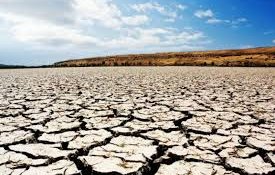 Практики климатически адаптированного землепользования обсудят на Региональном экологическом саммите 2026