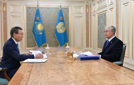 Глава государства принял председателя Центральной комиссии референдума Нурлана Абдирова