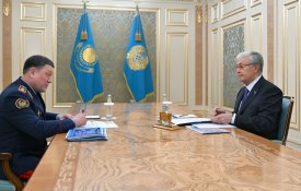 Глава государства принял министра внутренних дел Ержана Саденова