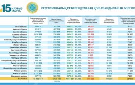 Центральная комиссия референдума: новая Конституция принята