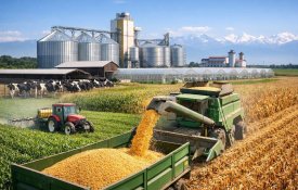 7 агропроектов реализуют в Алматинской области