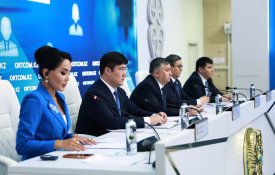 СНР «Платформенная занятость»