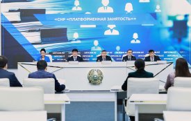 СНР «Платформенная занятость»