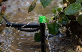 Қазақстанда мемлекеттік қолдау шараларының арқасында су үнемдеу технологияларын енгізу қарқыны бес есе жеделдеді