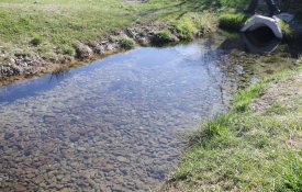 «Мөлдір бұлақ» республикалық экологиялық акциясы: мыңдаған қазақстандық бұлақтарды тазартуға шықты