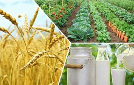 За последние 5 лет количество зарегистрированных сельхозкооперативов выросло на 53%