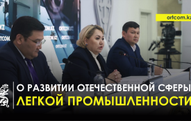 Жеңіл өнеркәсіптің отандық саласын дамыту туралы