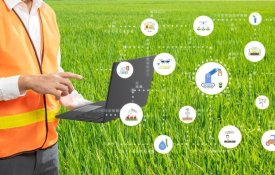 Цифровую платформу с элементами ИИ для мониторинга посевной кампании внедряют в Казахстане