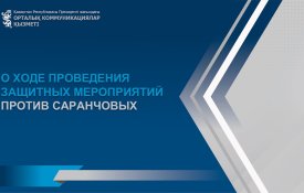 О проведении защитных мероприятий против саранчовых вредителей