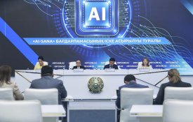 О реализации программы «AI-Sana»