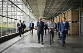 Мемлекет басшысы GREEN ЕСО жылыжай кешенімен танысты