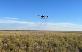 Более 700 тыс. га сельхозугодий обработано в Казахстане против саранчовых вредителей