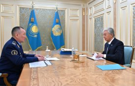 Глава государства принял министра обороны Даурена Косанова