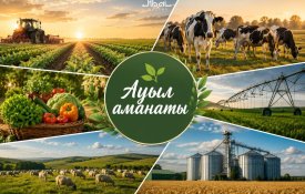 Абай облысында «Ауыл аманаты» бағдарламасы аясында 25 жоба қаржыландырылды