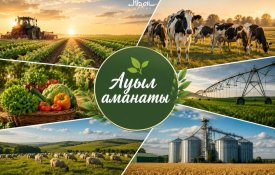 В Туркестанской области за 3 года благодаря проекту «Ауыл аманаты» создано около 5000 рабочих мест
