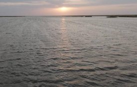 1,2 млрд кубометров воды направлено в Северное Аральское море с октября прошлого года