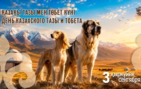 Бүгін алғаш рет Қазақы тазы мен төбет күні атап өтіледі