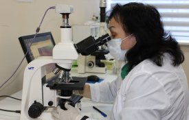 13,5 млн га перераспределенных сельхозземель, внедрение ИИ и развитие агронауки: как выполняются поручения Президента из Послания народу Казахстана