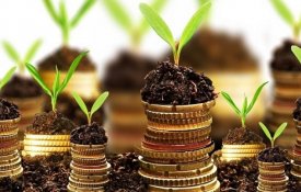 Информация по автоматизации процесса субсидирования