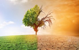 Called the deadly effects of climate change